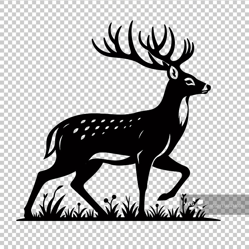 白尾鹿图片素材