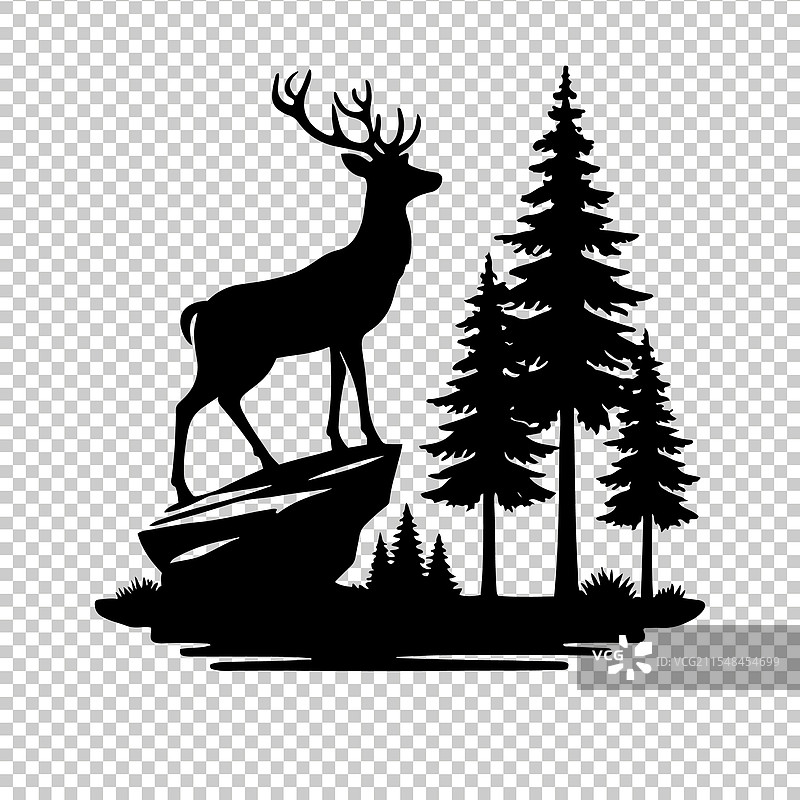 白尾鹿图片素材