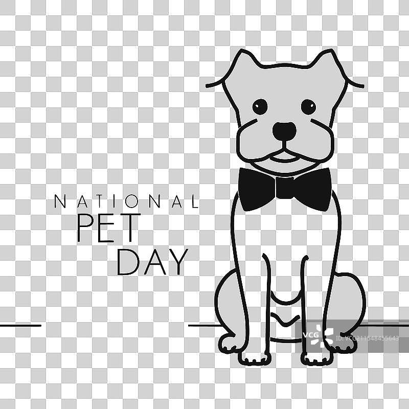 国家宠物日图片素材