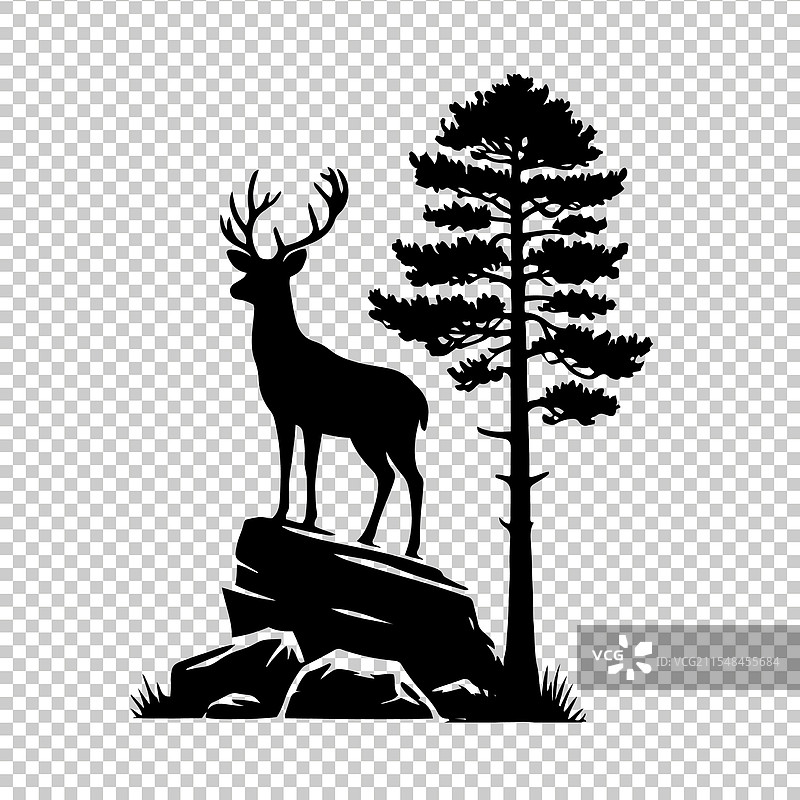 白尾鹿图片素材