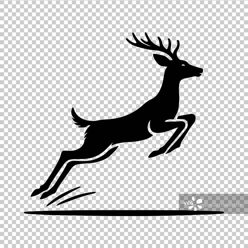 白尾鹿图片素材