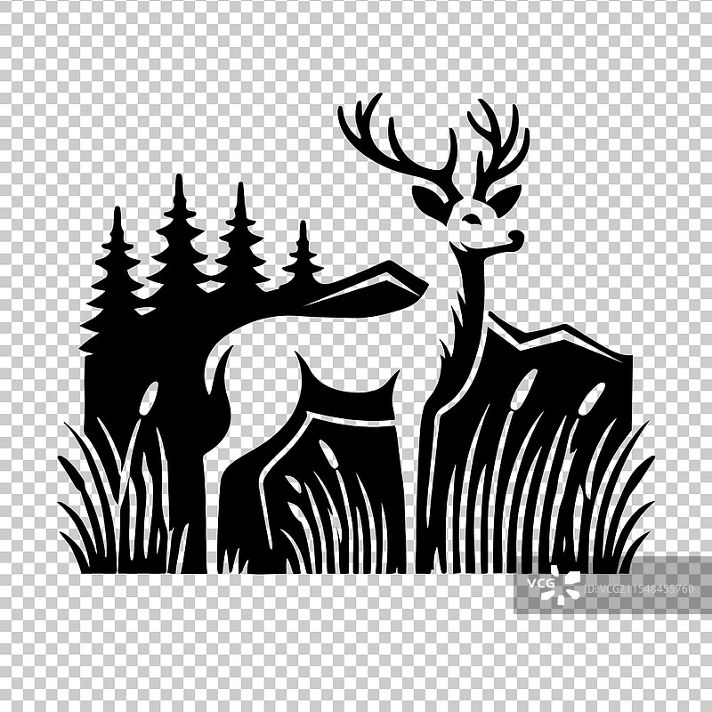 白尾鹿图片素材