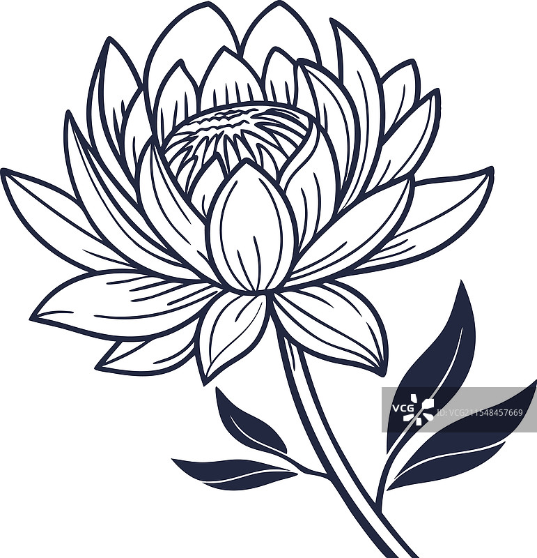 手绘春季极简花卉线条艺术图片素材