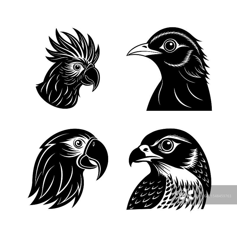 家禽鸟类头部轮廓组合图片素材