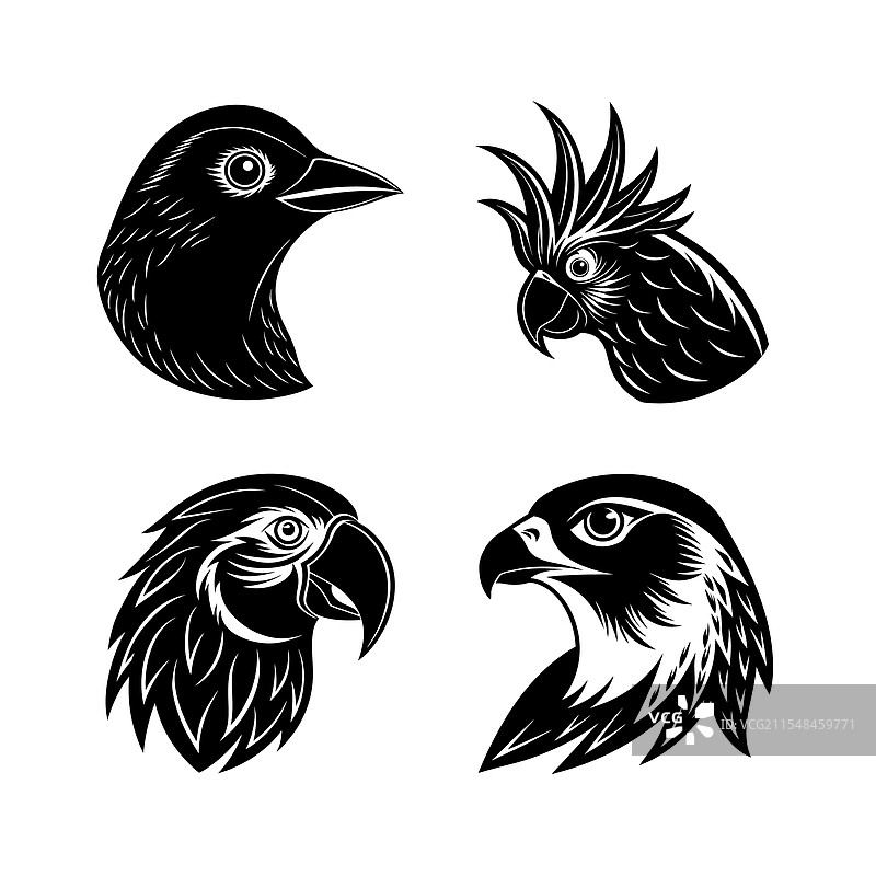 家禽鸟类头部剪影组合图片素材