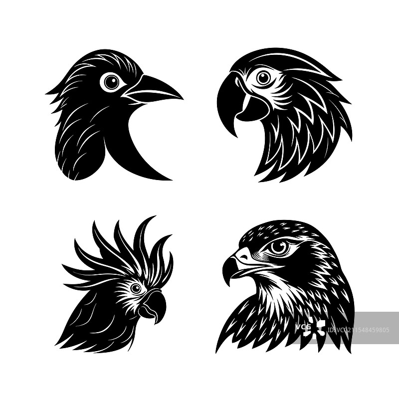家禽鸟类头部剪影组合图片素材