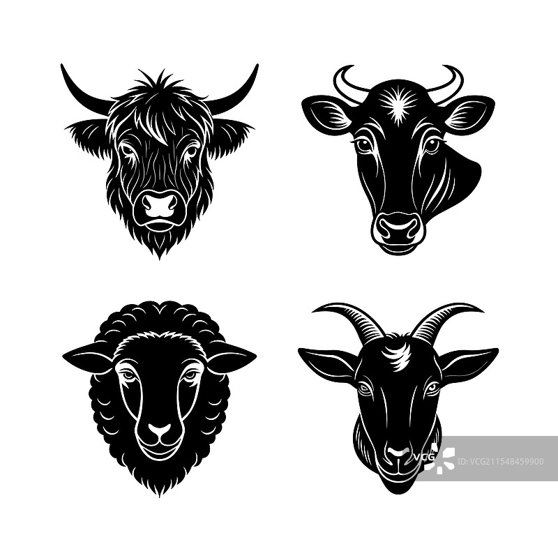 家禽头部剪影艺术图片素材