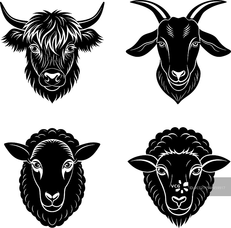 家禽头部剪影艺术图片素材