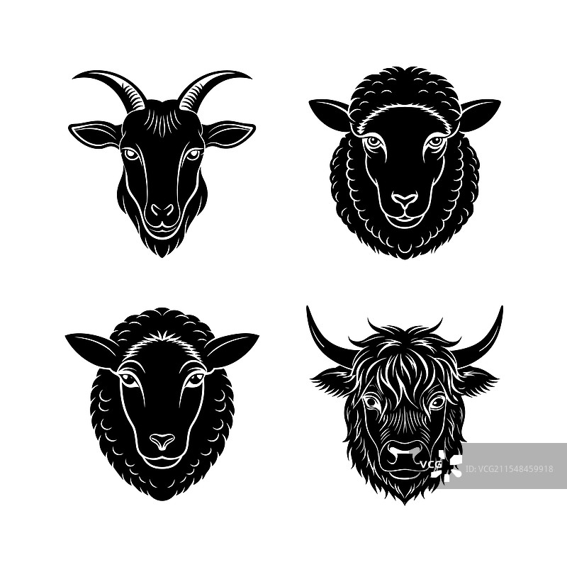 家禽头部剪影艺术图片素材