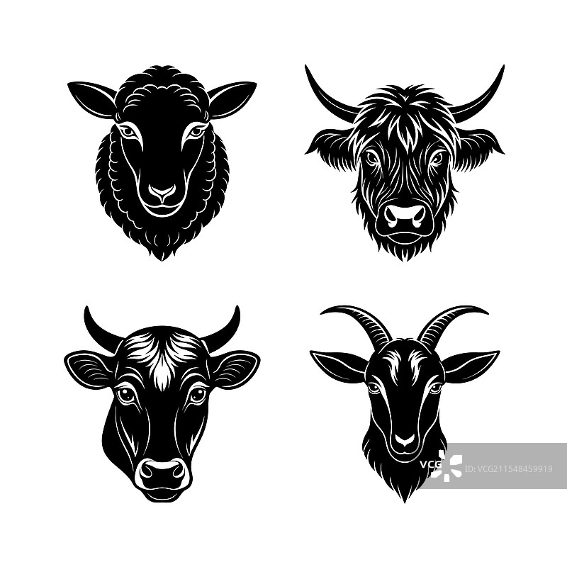 家禽头部轮廓艺术图片素材