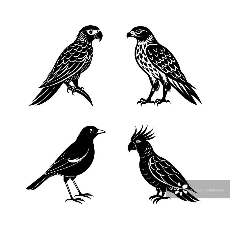 家禽鸟类动物剪影组合图片素材