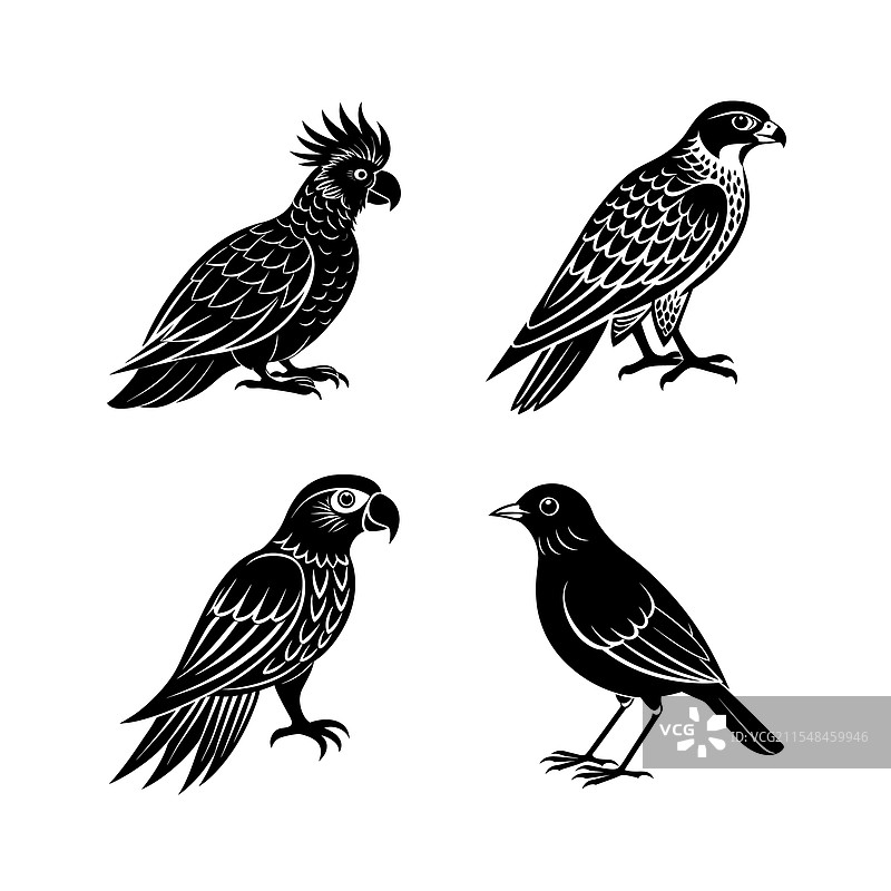 家禽鸟类动物剪影合集图片素材