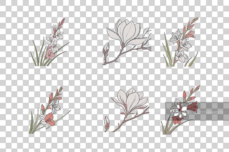 鸢尾花和木兰花图标艺术图片素材