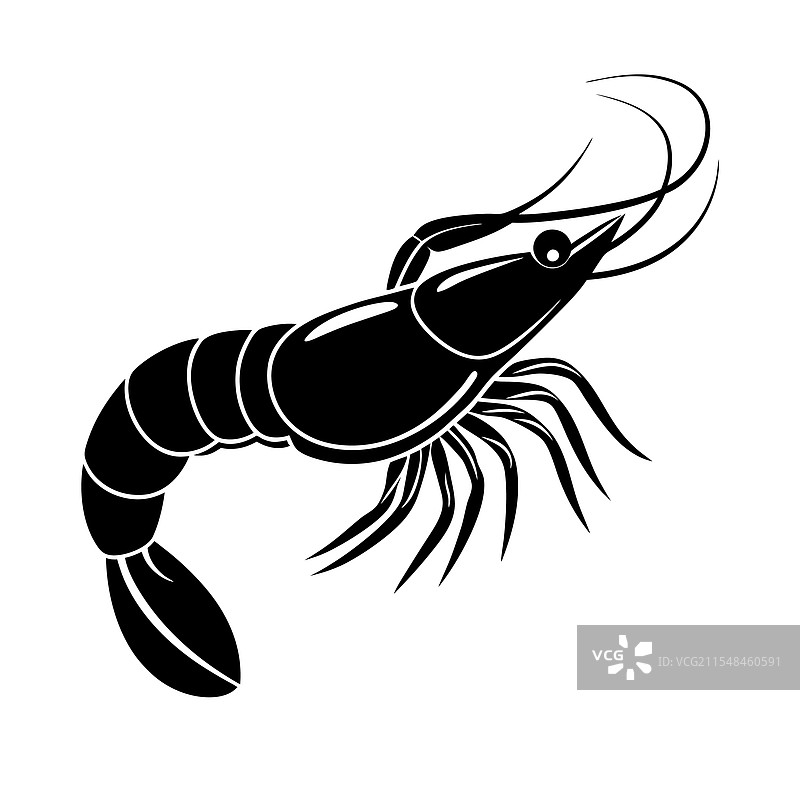 淡水虾轮廓图片素材