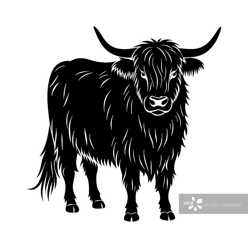 高地牛轮廓的家畜图片素材