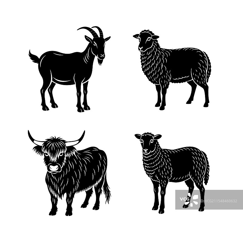 家禽轮廓组合图片素材