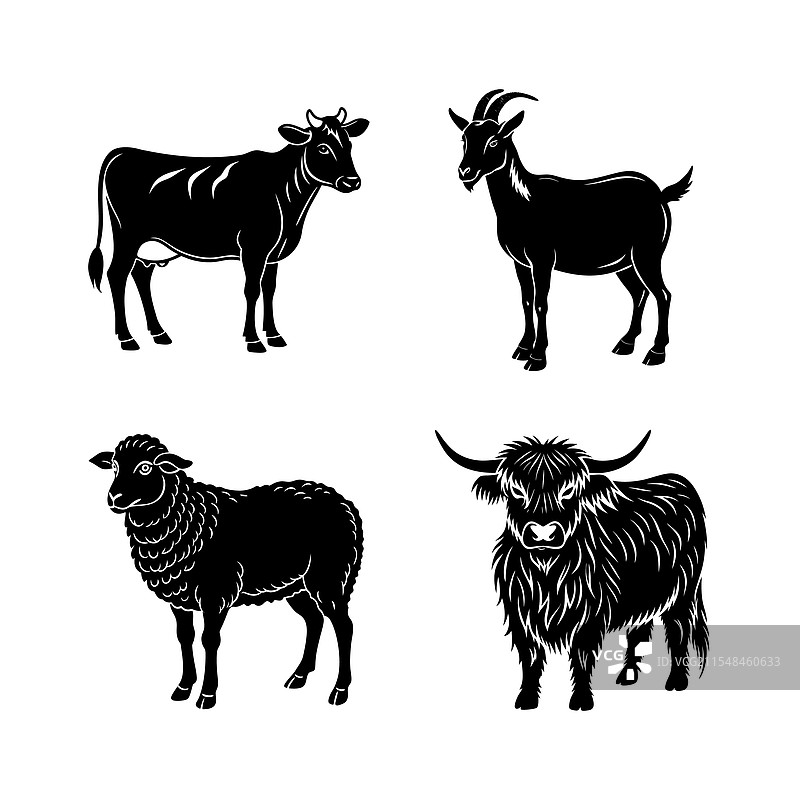 家禽轮廓组合图片素材