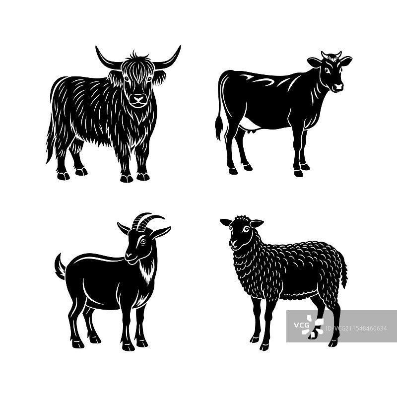 家禽轮廓组合图片素材