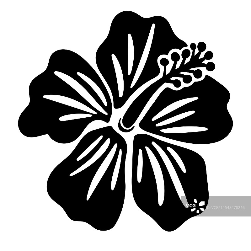 简单平面的黑色木槿花轮廓图片素材