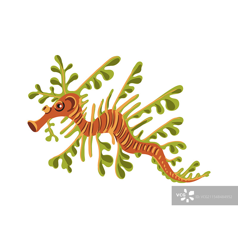 绘制热带鱼图片素材