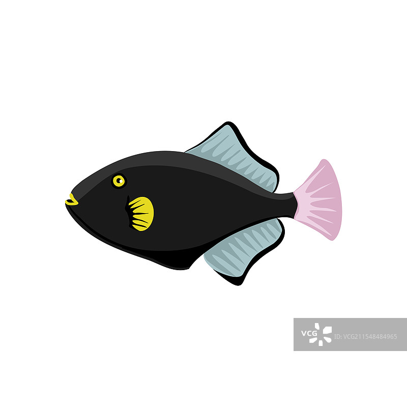 绘制热带鱼图片素材