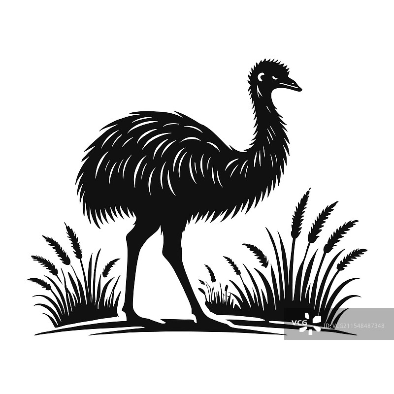 澳大利亚鸸鹋的剪影图案图片素材