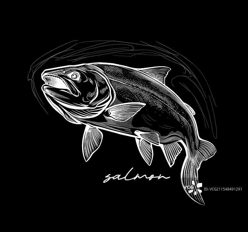 手绘黑白鲑鱼图片素材