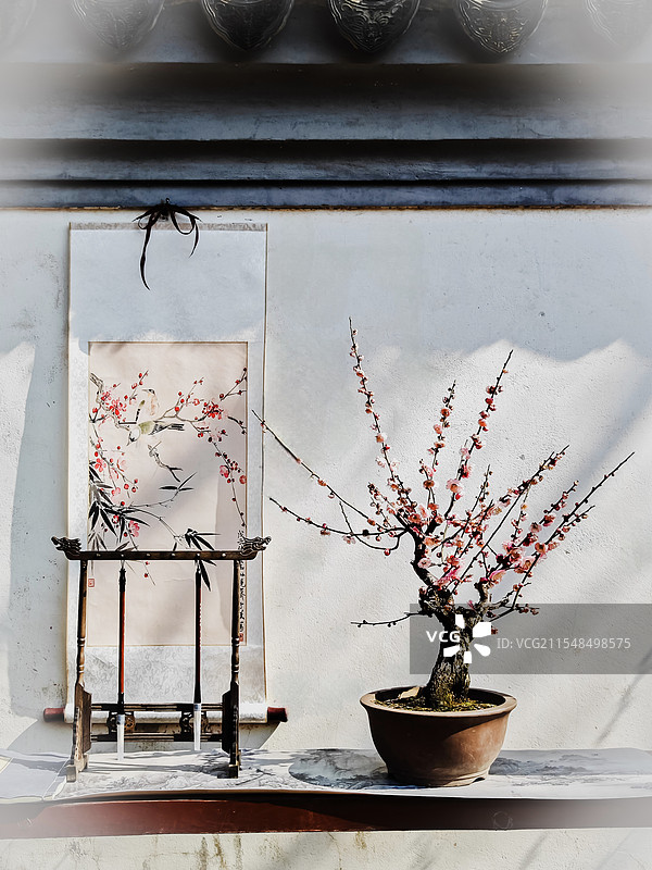 《上海古猗园的腊梅花盆景》图片素材