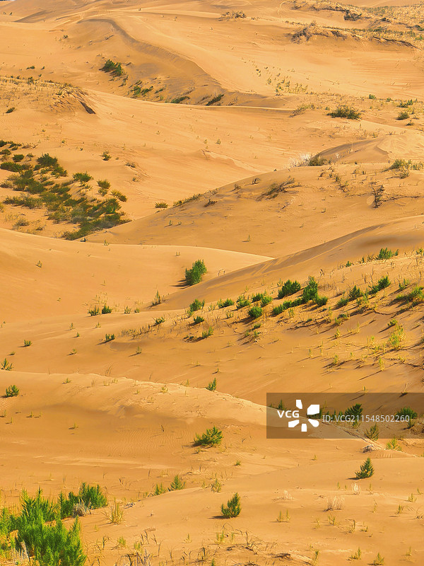 沙海浮沉图片素材