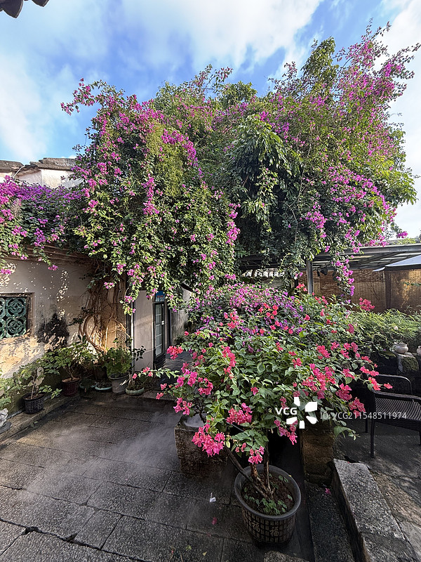 深圳-大鹏所城里图片素材