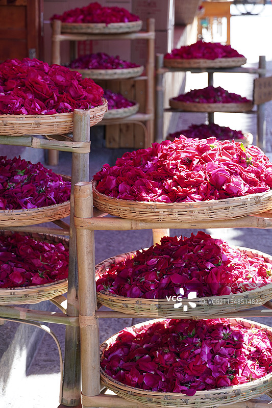 喜洲古镇的玫瑰花瓣图片素材