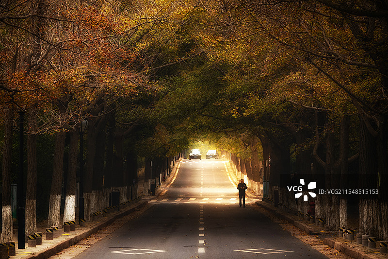 青岛八大关图片素材