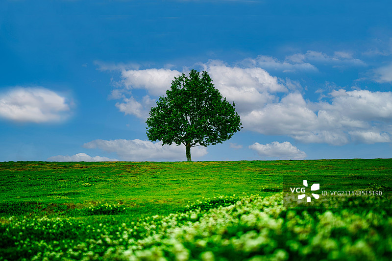 钟山体育运动公园图片素材