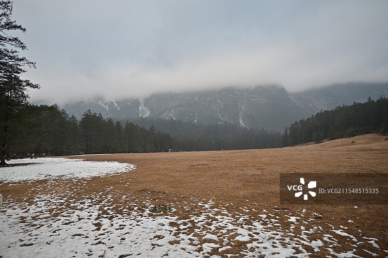 云杉坪图片素材