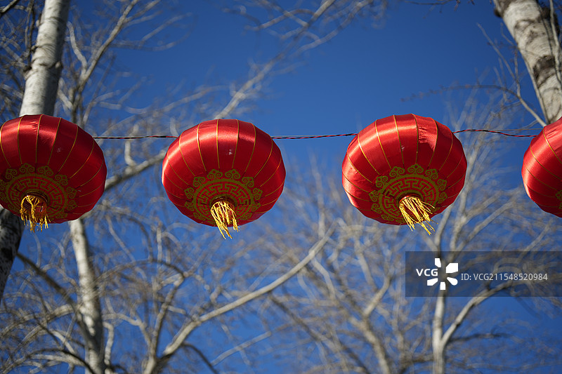 挂在树上的灯笼图片素材