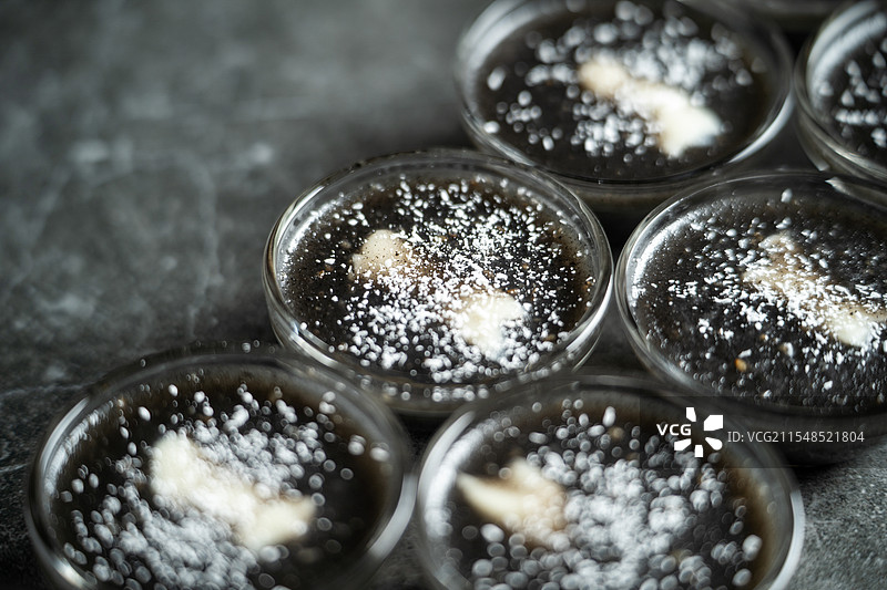 广东特色传统糕点芝麻奶酪钵仔糕图片素材