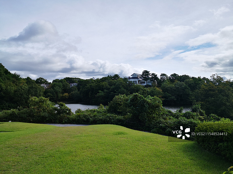 绿色与天空图片素材