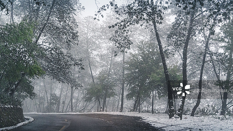 雪中森林-冰雪之路图片素材