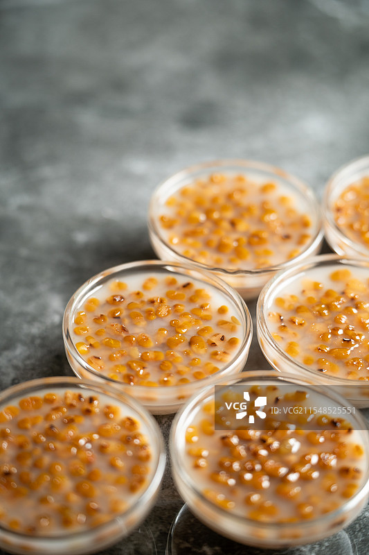 广东特色传统糕点绿豆钵仔糕图片素材