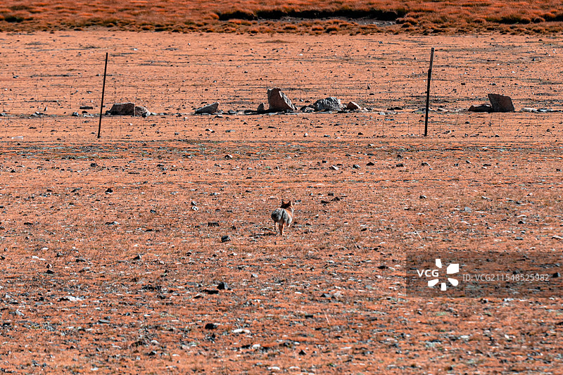 阿里环线 | 从班戈到拉萨图片素材