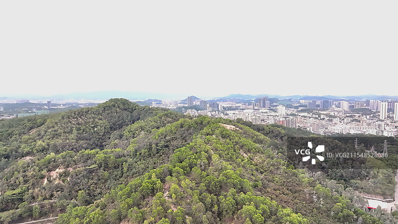 在大城市里能够看到这种绿山算是真的难得了图片素材