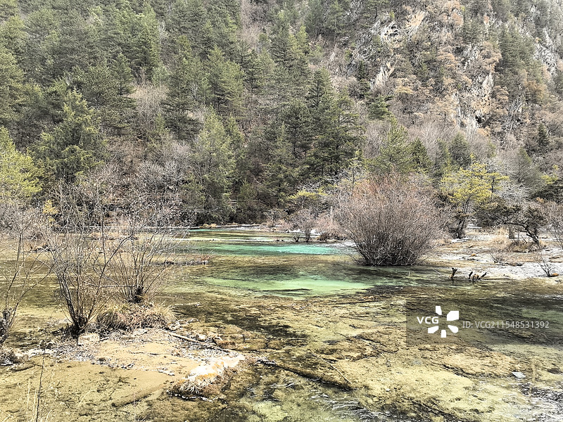 九寨沟 盆景滩图片素材