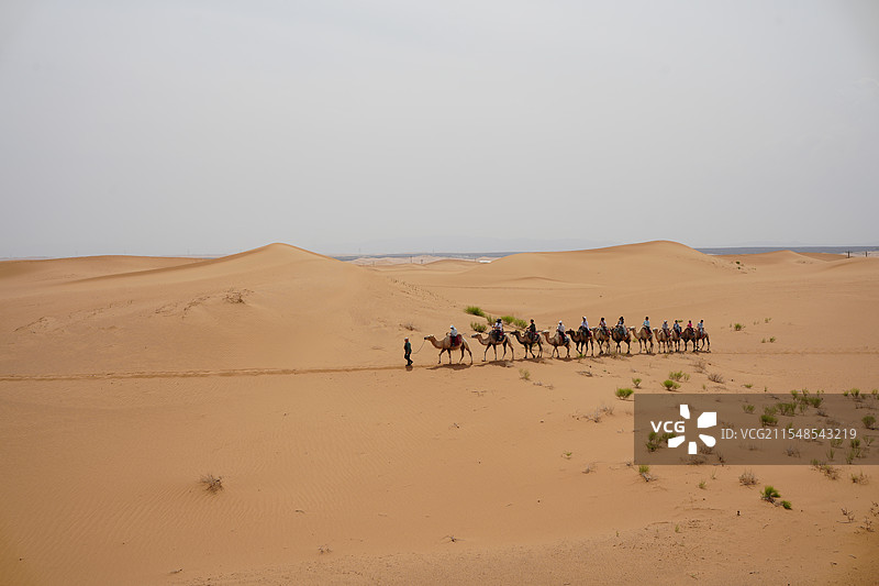 在沙漠中驼队带着旅人慢慢走向远方图片素材