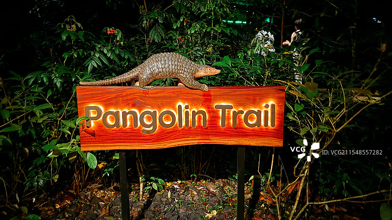 动物无言的温柔，是生命的诗篇。图片素材