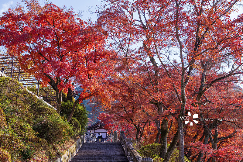 日本京都风光图片素材