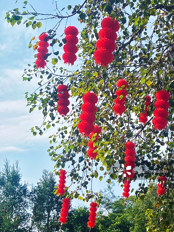 灯笼飘飘图片素材