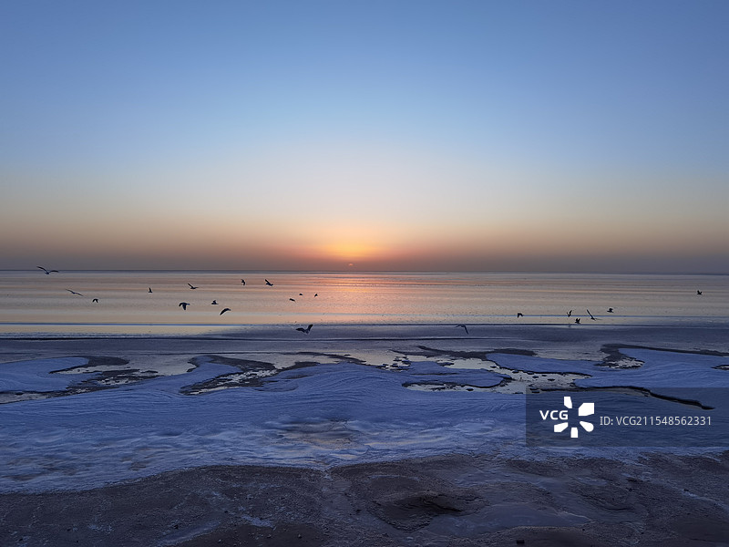 冬日日出与海鸥图片素材
