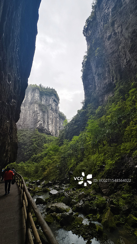 重庆奉节天坑地缝细节特写图片素材