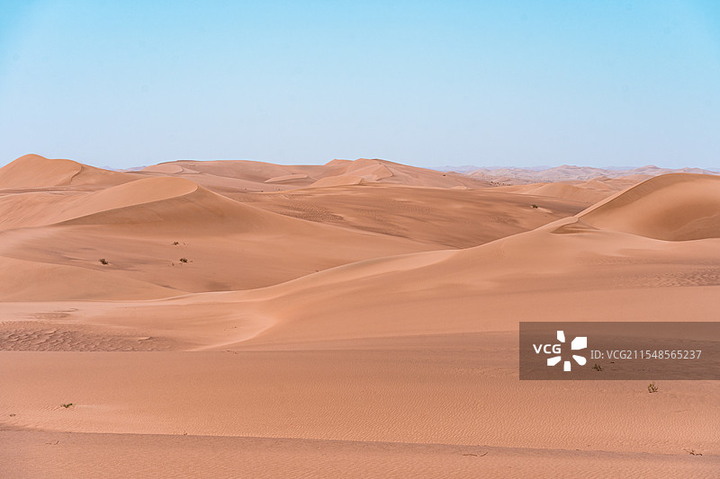 瀚海黄沙 | 从弱水到巴丹吉林图片素材