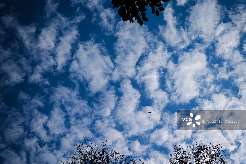 蓝天白云与飞舞的枯叶图片素材